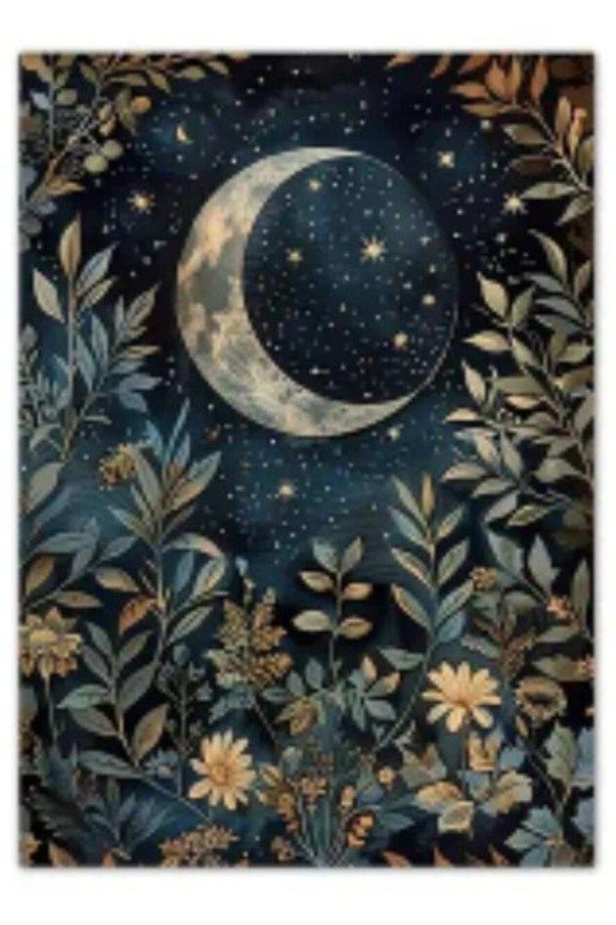 Crescent Moon Canvas Art Print 12"×16" Stars Foliage Floral Mystic Frameless